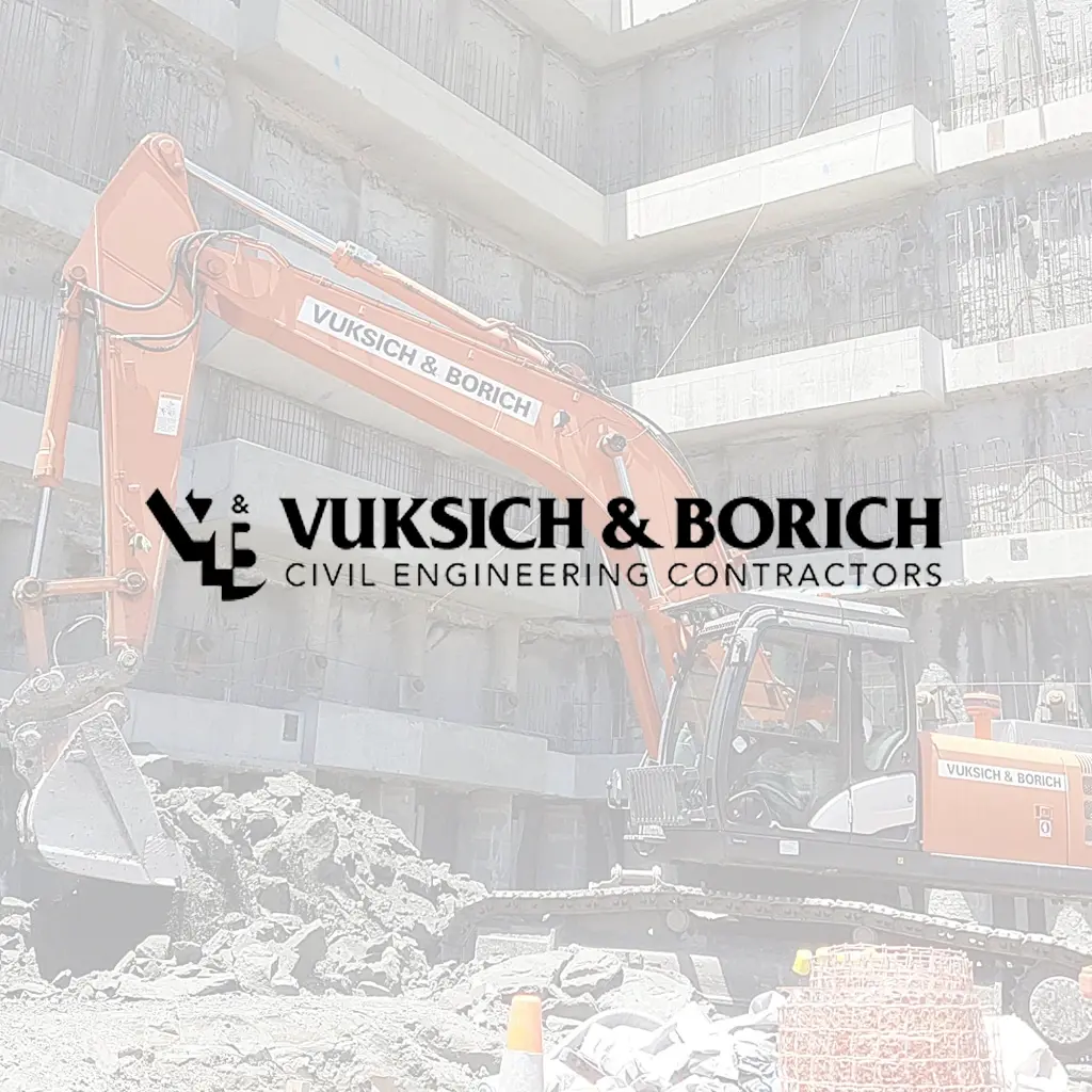 Vuksich and borich