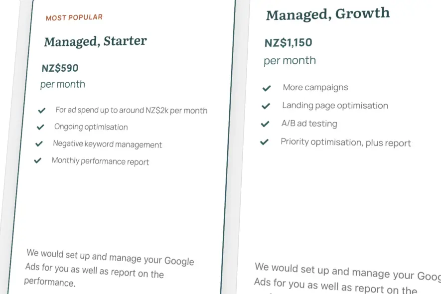 Google Ads Managed Growth plan from Seed Studio: price and what is included