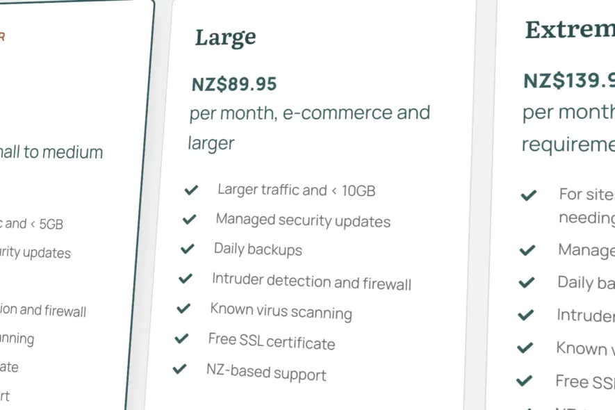 Large managed hosting plan from Seed Studio: price and what is included