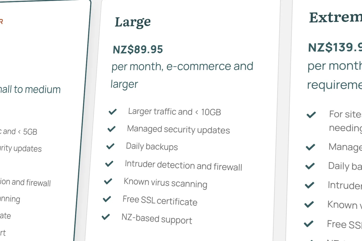 Image of Hosting: Large Plan