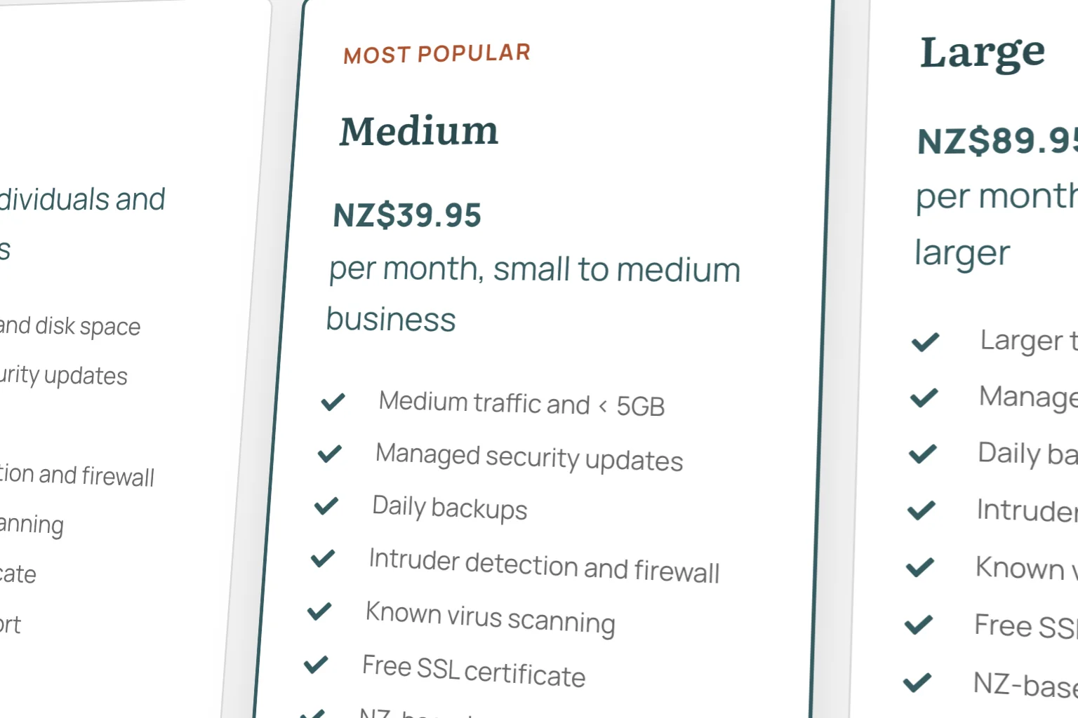 Image of Hosting: Medium Plan