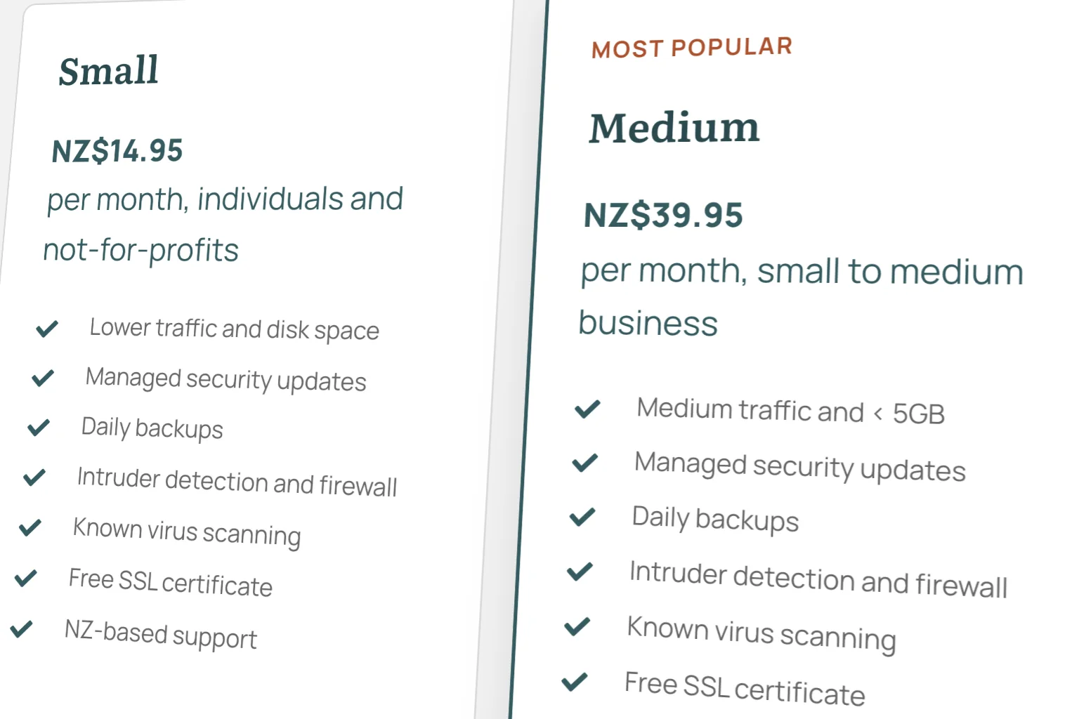 Image of Hosting: Small Plan