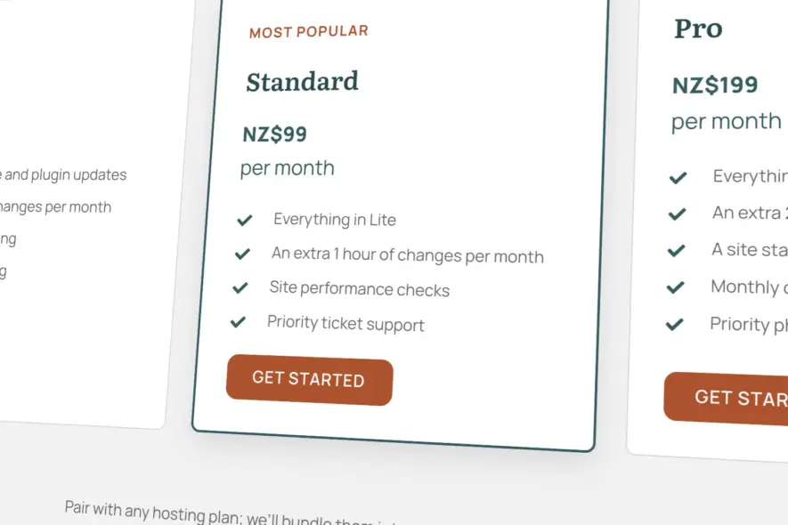 Site Support Standard care plan from Seed Studio: price and what is included